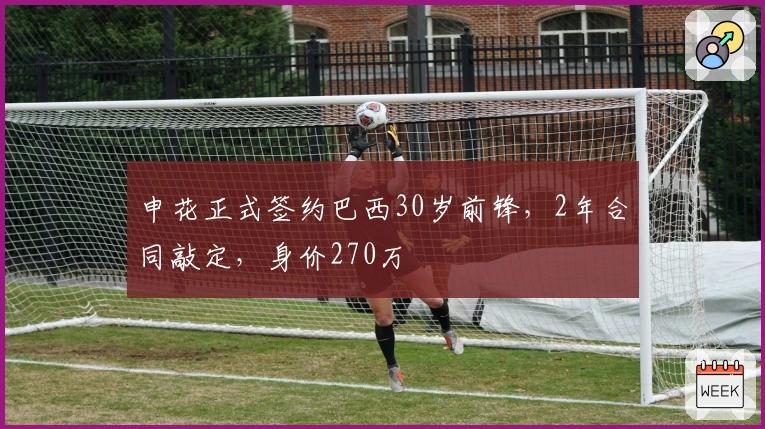 申花正式签约巴西30岁前锋，2年合同敲定，身价270万