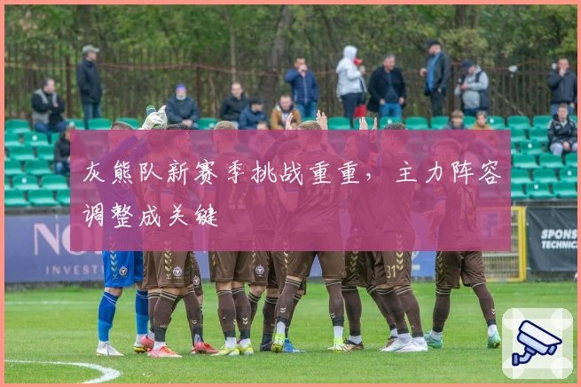 灰熊队新赛季挑战重重，主力阵容调整成关键