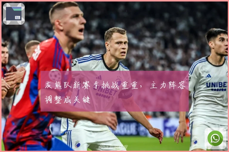 灰熊队新赛季挑战重重,主力阵容调整成关键