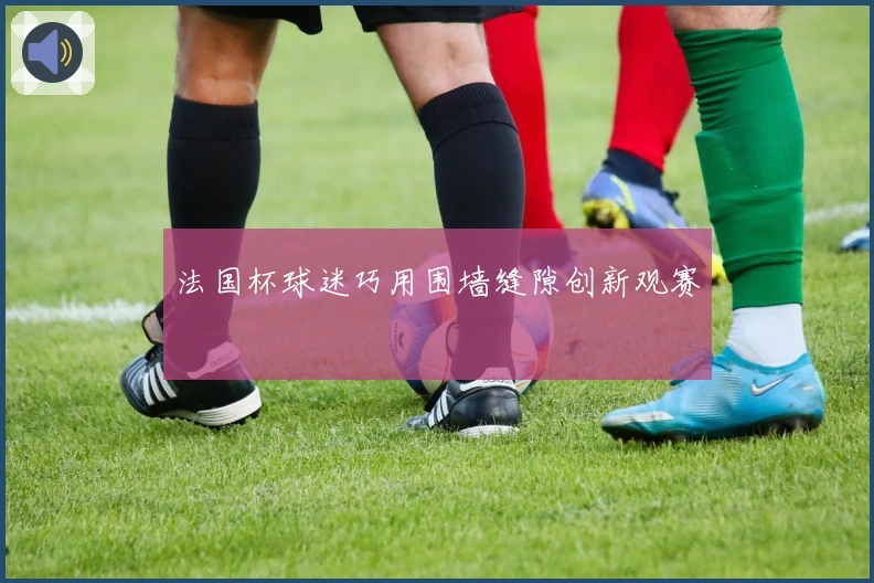 法国杯球迷巧用围墙缝隙创新观赛